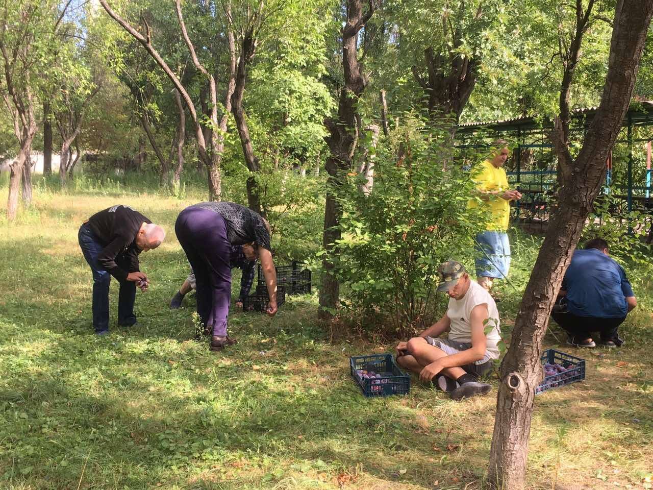 Територія інтернату