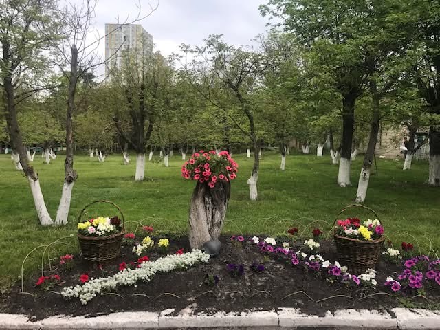 Територія інтернату